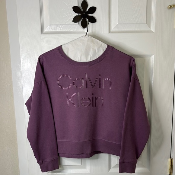 Calvin Klein Purple Cropped Hi-Lo Sweatshirt Size Large - Picture 1 of 8